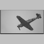 Warbirds (15).JPG
